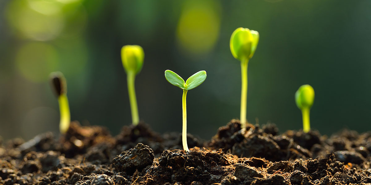 Phosphorlieferant Klärschlamm (Foto: amenic181, iStock) (Foto: amenic181 (iStock))