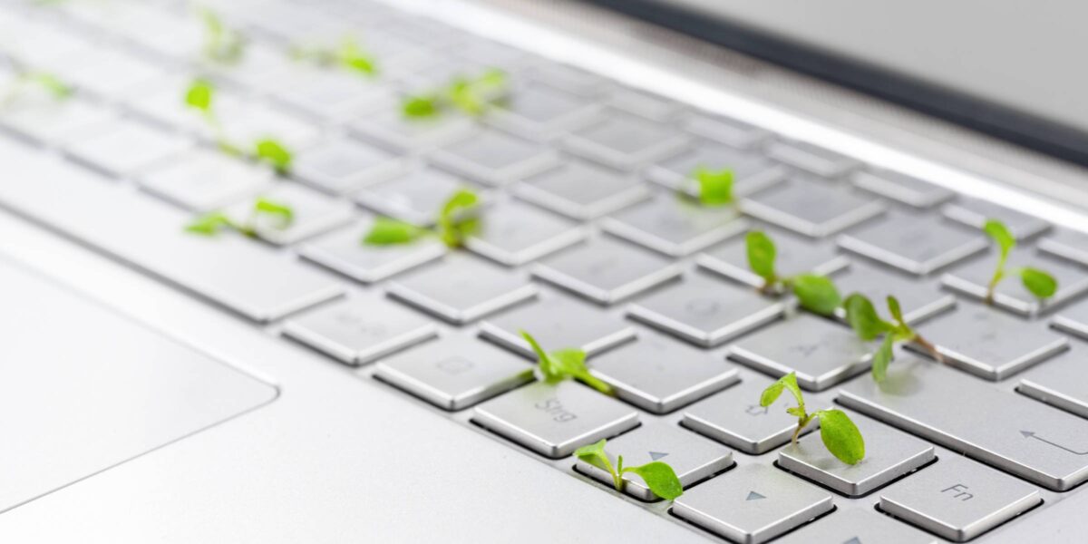 Nahaufnahme einer Tastatur, aus der kleine grüne Pflanzen wachsen (Foto: fermate (iStock))