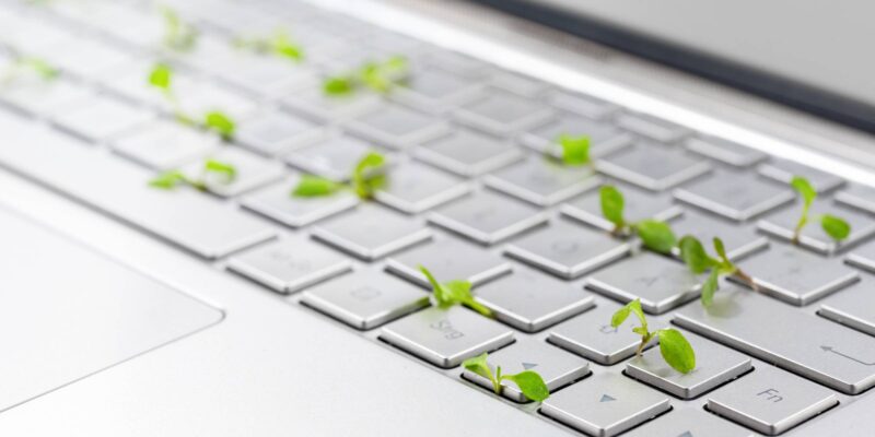 Nahaufnahme einer Tastatur, aus der kleine grüne Pflanzen wachsen (Foto: fermate (iStock))