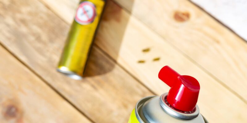 Sprühkopf eines Insektizides und im Hintergrund unscharf eine Spraydose zur Insektenbekämpfung (Foto: Jose Gonzalez Buenaposada (iStock))